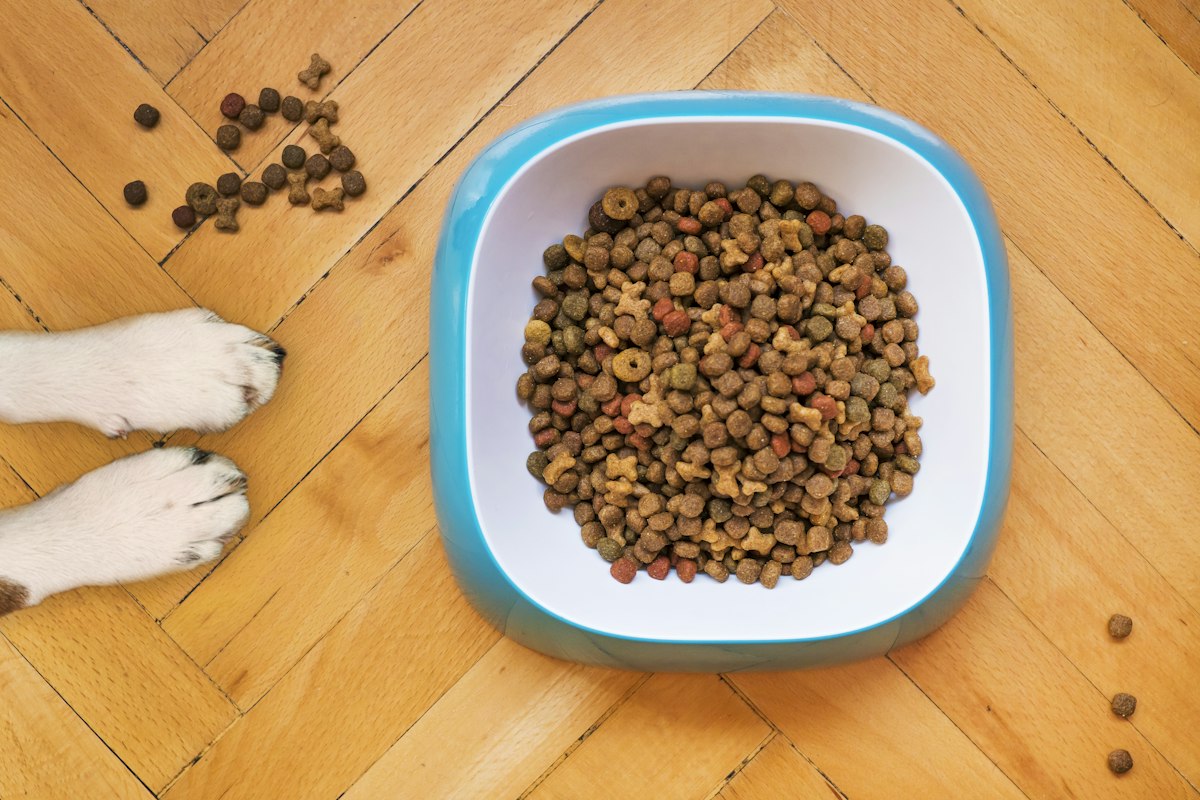 Feeding Bowls